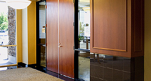 Commercial Entrance Doors
